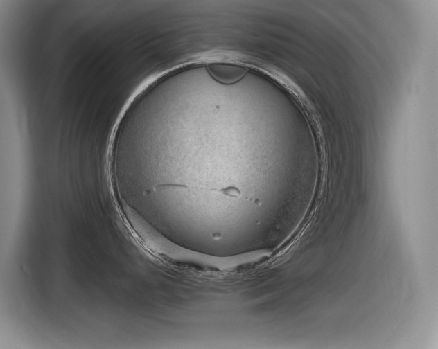 X0000116631248200912111210