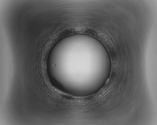 X0000116631249200912111210