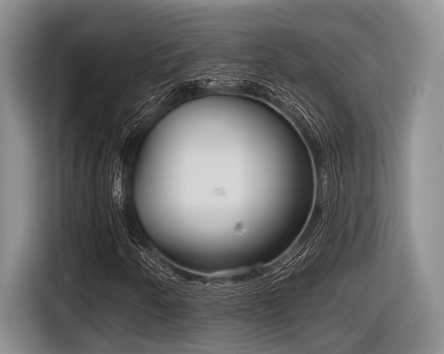 X0000116631250200912111210