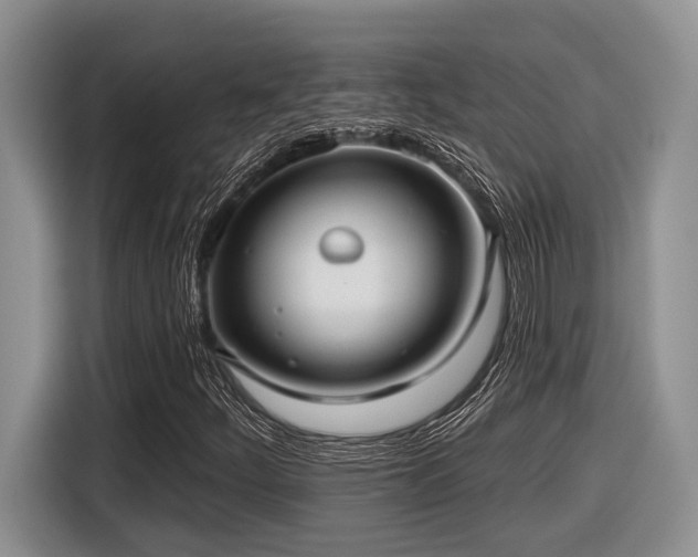 X0000116631252200912111210