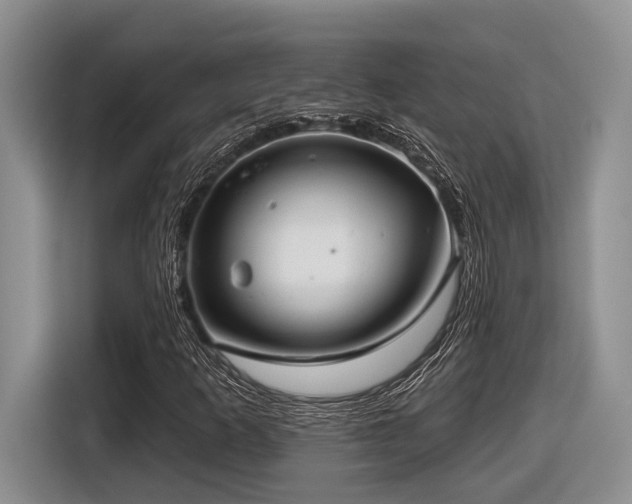 X0000116631253200912111210