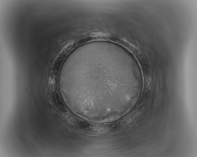 X0000116631254200912111210