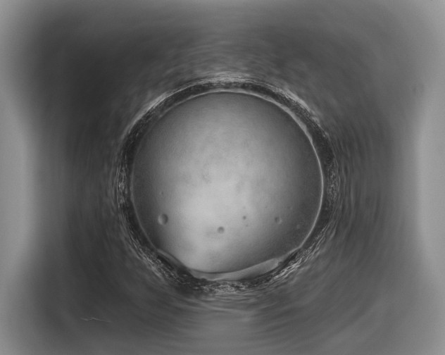 X0000116631255200912111210