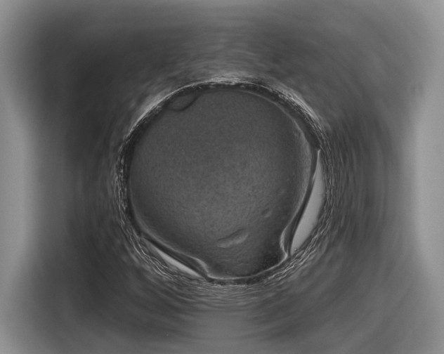 X0000116631256200912111210