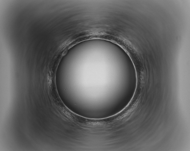 X0000116631257200912111210