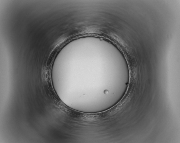 X0000116631258200912111210