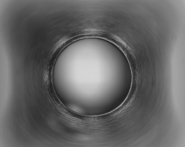 X0000116631259200912111210