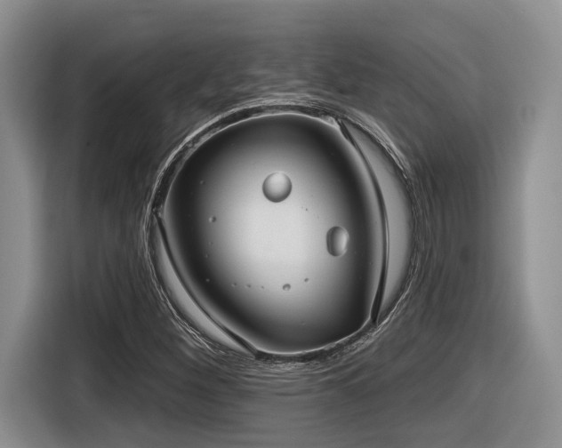 X0000116631260200912111210