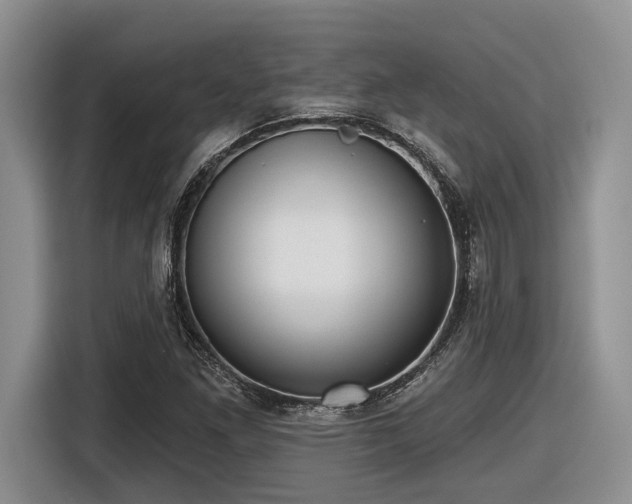 X0000116631261200912111210