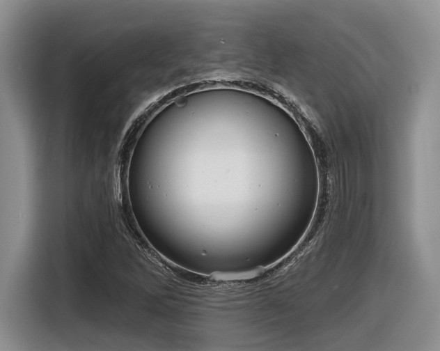 X0000116631262200912111210