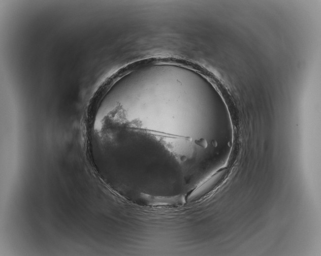 X0000116631263200912111210