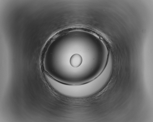 X0000116631264200912111210