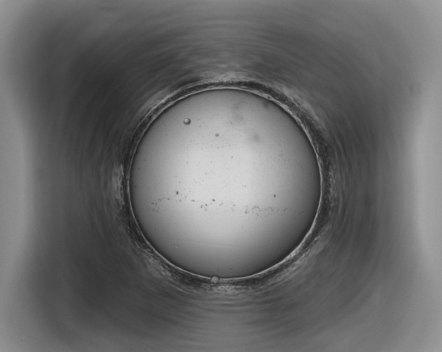 X0000116631265200912111210