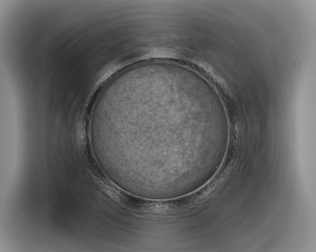 X0000116631266200912111210