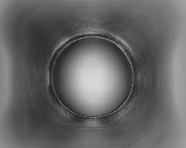 X0000116631267200912111210