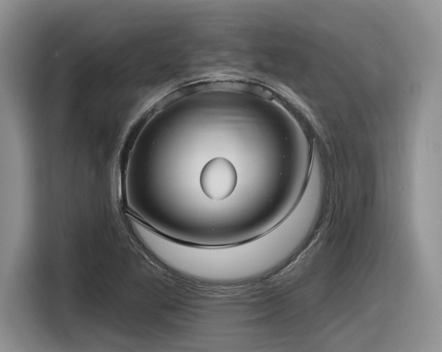 X0000116631269200912111210