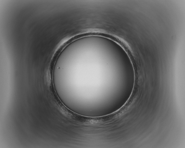 X0000116631271200912111209