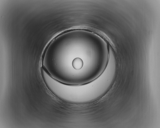 X0000116631276200912111209