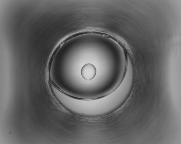 X0000116631280200912111209