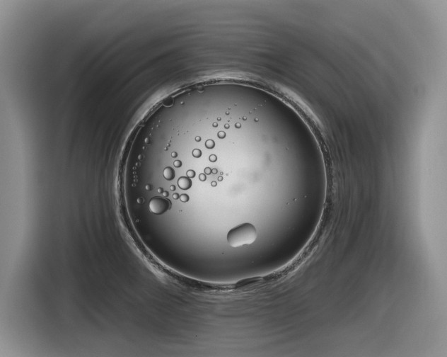 X0000116631282200912111209