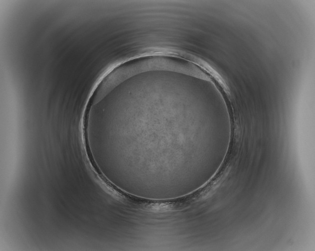 X0000116631283200912111209