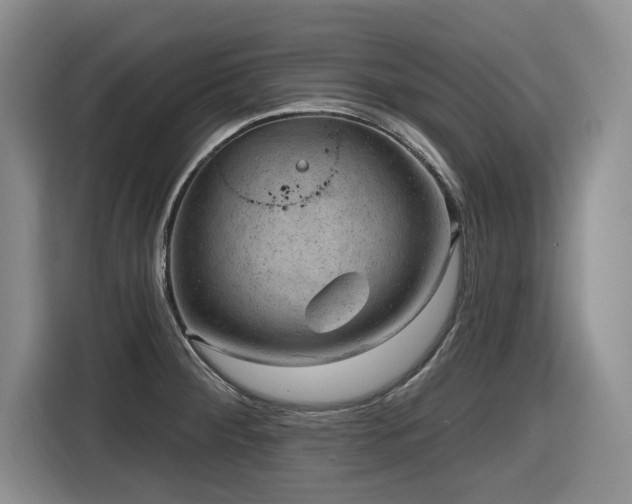 X0000116631284200912111209