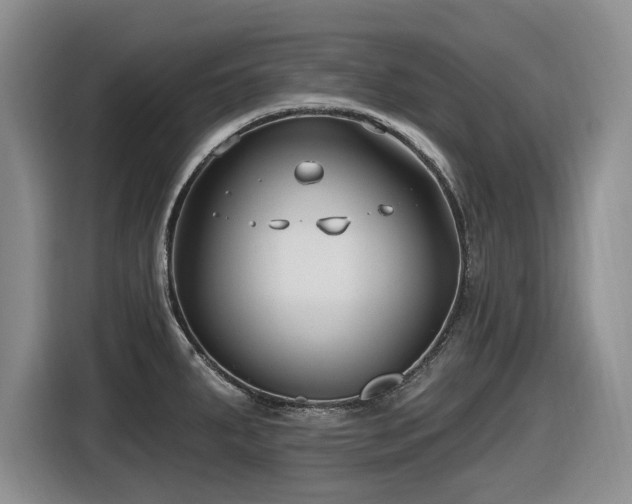 X0000116631287200912111209