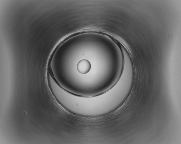 X0000116631288200912111209