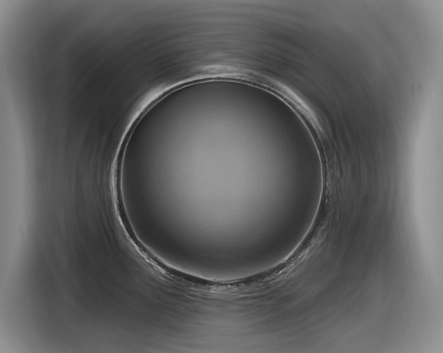 X0000116631291200912111209