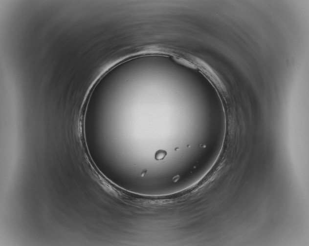 X0000116631292200912111209