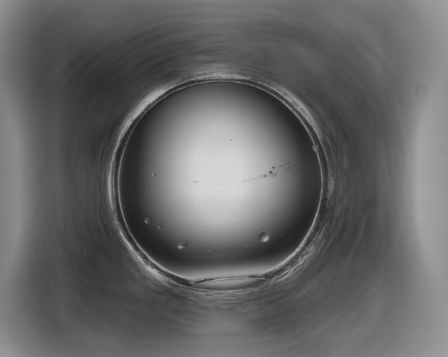 X0000116631293200912111209