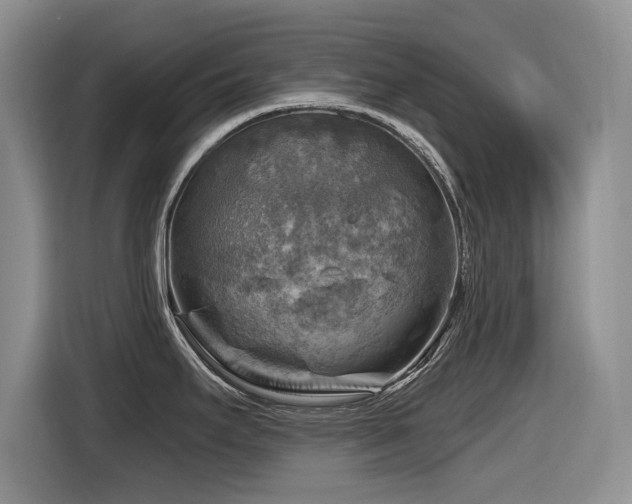 X0000116631295200912111209