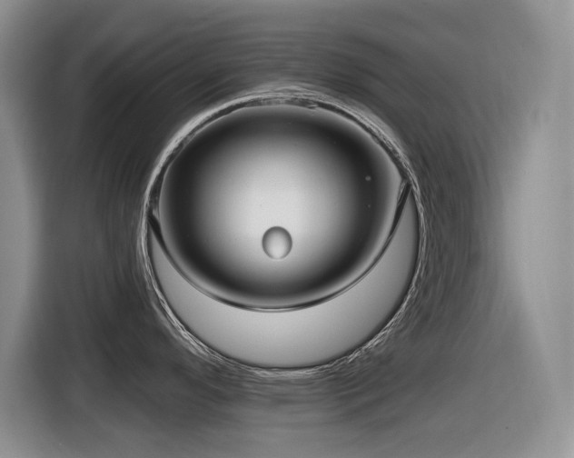 X0000116631296200912111209