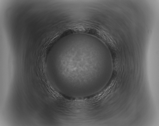 X0000116631297200912111209