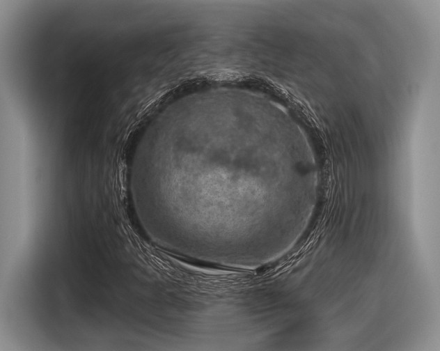 X0000116631301200912111209