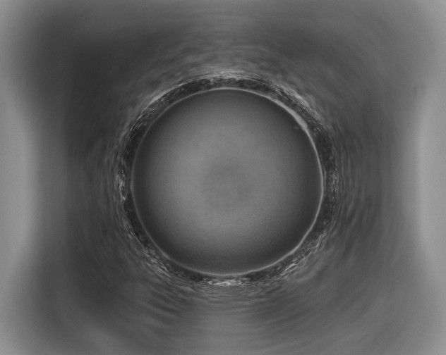 X0000116631303200912111209