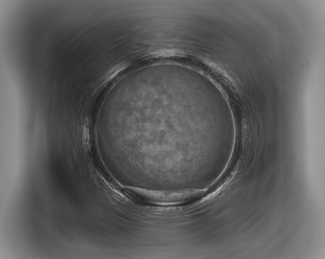 X0000116631305200912111209