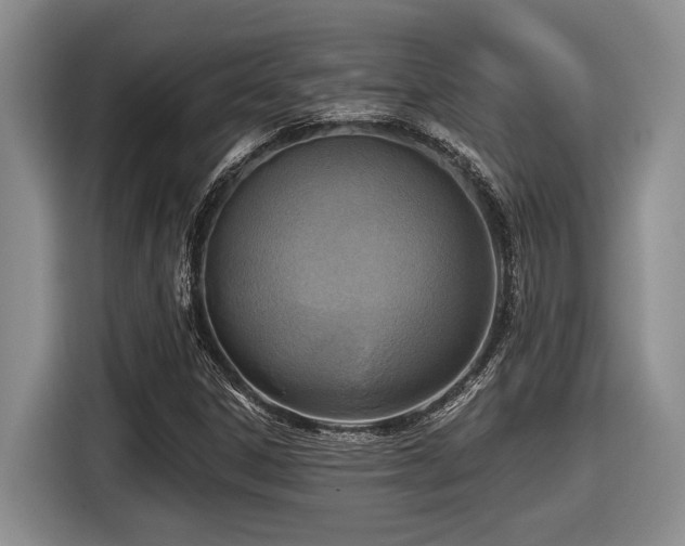 X0000116631306200912111209