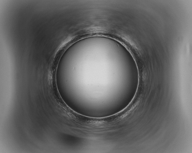 X0000116631309200912111209