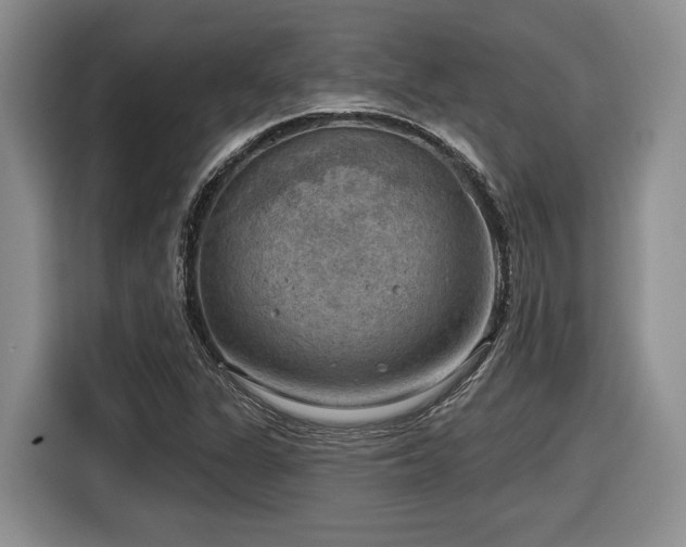 X0000116631311200912111209