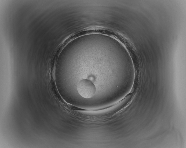 X0000116631313200912111209