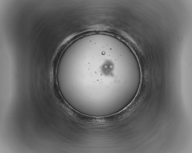 X0000116631315200912111209