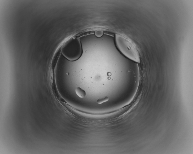 X0000116631317200912111209