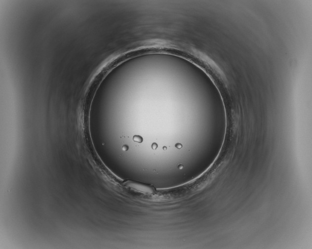 X0000116631318200912111209