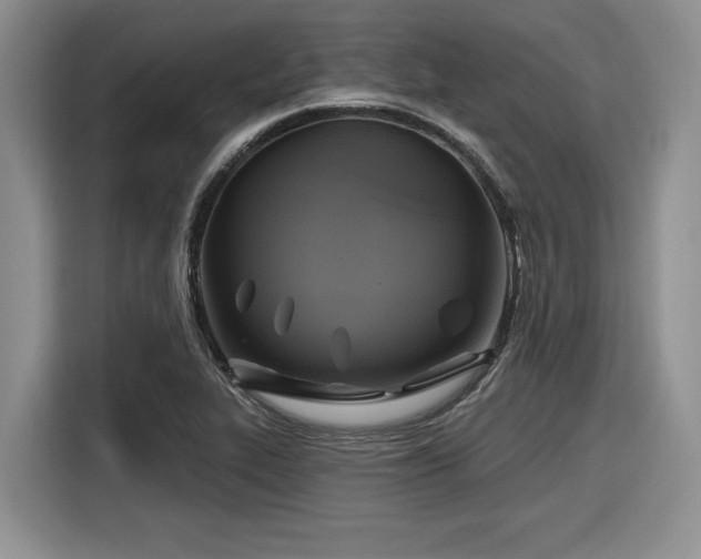 X0000116631319200912111209