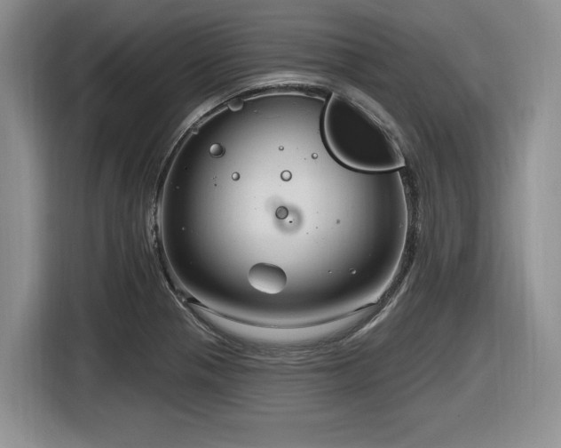 X0000116631321200912111209