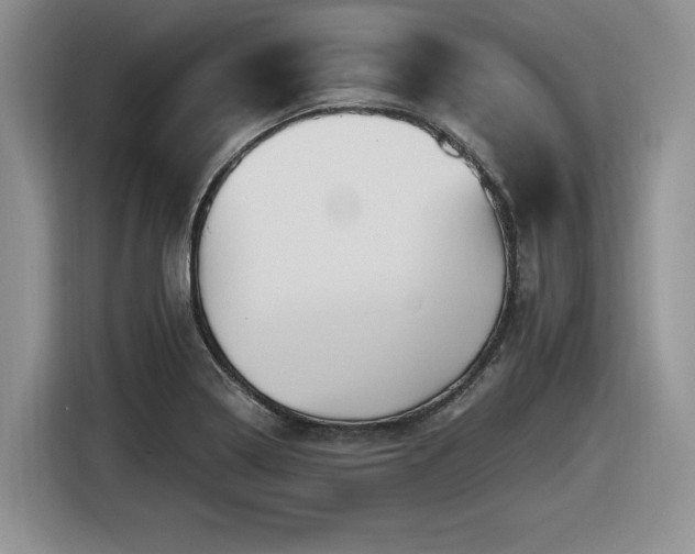 X0000116631322200912111209