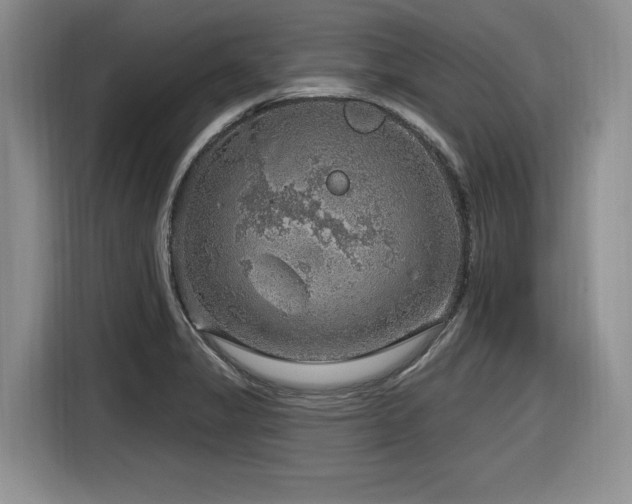 X0000116631325200912111209