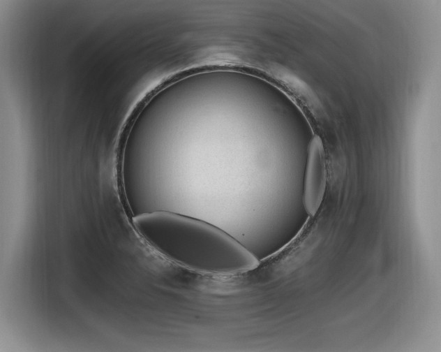 X0000116631326200912111209