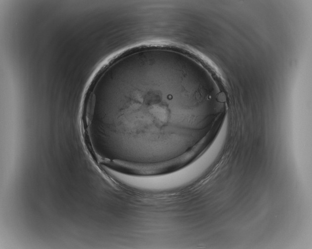 X0000116631327200912111209